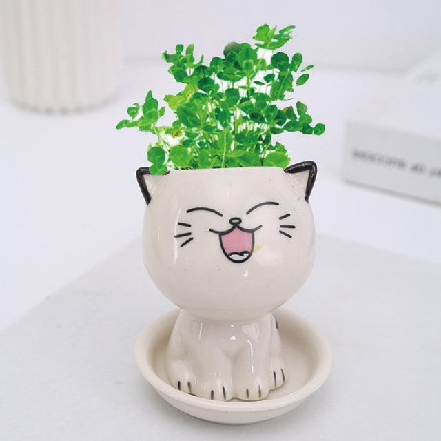 Mini Cartoon Ceramic Flowerpot