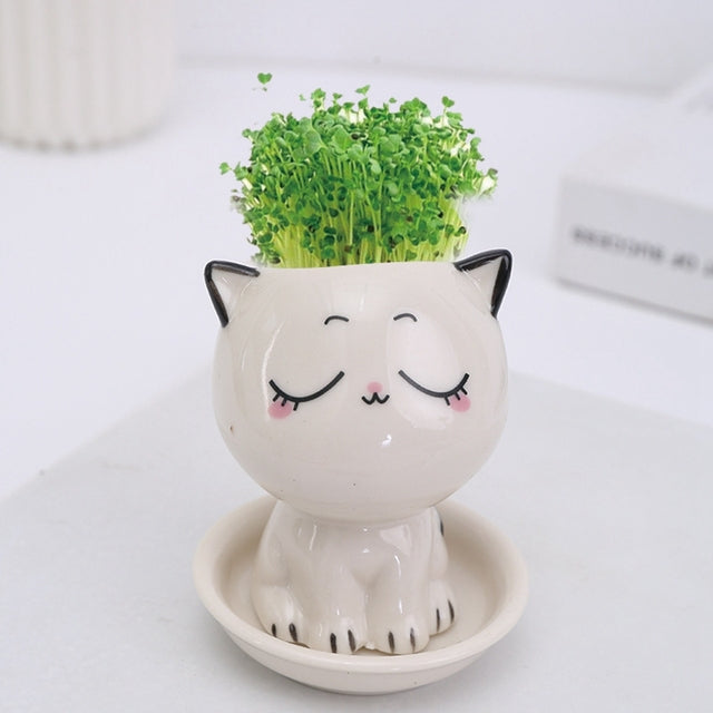 Mini Cartoon Ceramic Flowerpot