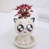 Mini Cartoon Ceramic Flowerpot