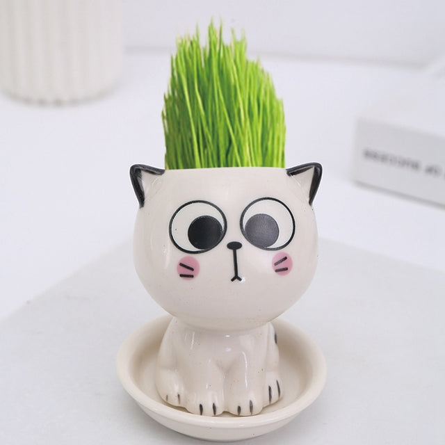 Mini Cartoon Ceramic Flowerpot