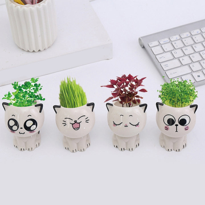 Mini Cartoon Ceramic Flowerpot