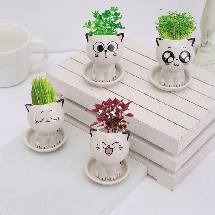 Mini Cartoon Ceramic Flowerpot