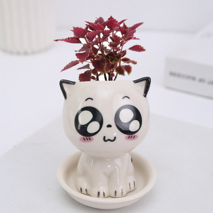 Mini Cartoon Ceramic Flowerpot