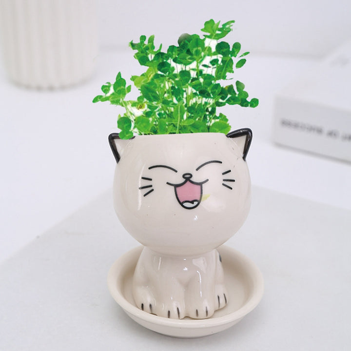 Mini Cartoon Ceramic Flowerpot