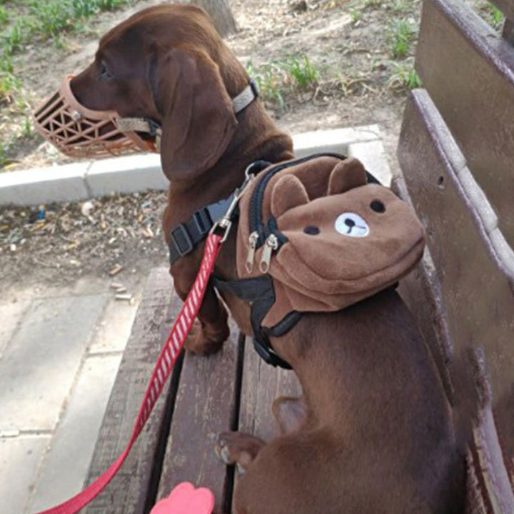 Pet Backpack