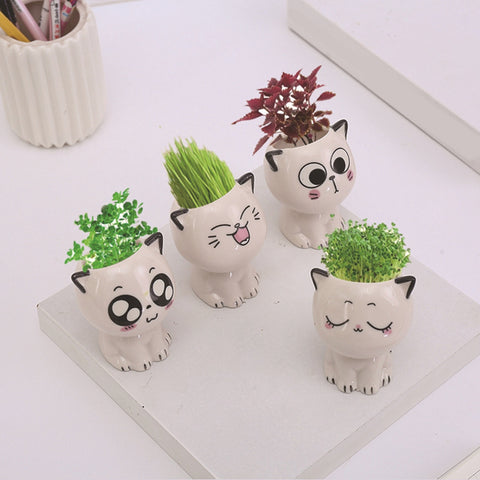 Mini Cartoon Ceramic Flowerpot